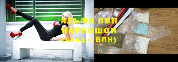эйфоретик Белокуриха
