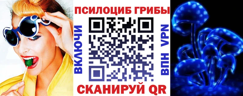 omg ССЫЛКА  Буинск  Псилоцибиновые грибы Magic Shrooms 